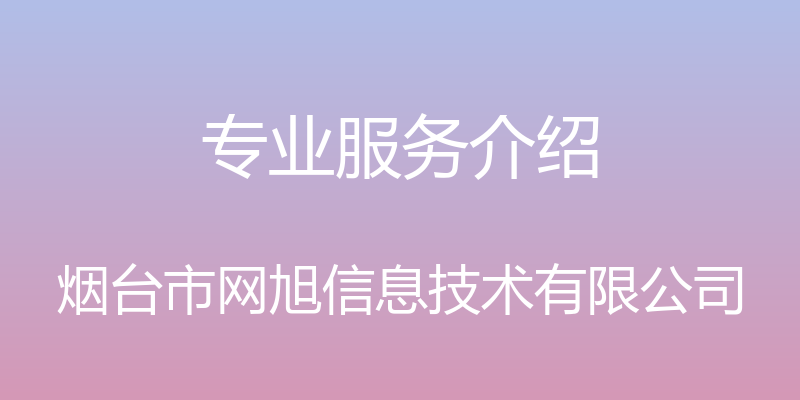 专业服务介绍 - 烟台市网旭信息技术有限公司