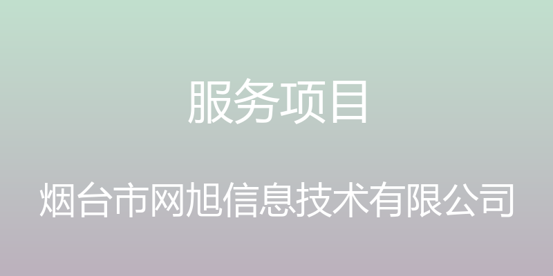 服务项目 - 烟台市网旭信息技术有限公司