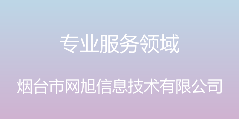 专业服务领域 - 烟台市网旭信息技术有限公司